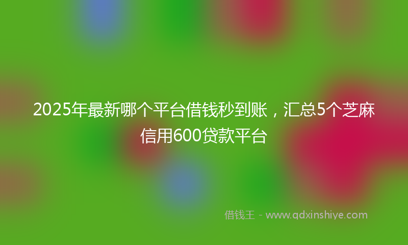 2025年最新哪个平台借钱秒到账，汇总5个芝麻信用600贷款平台