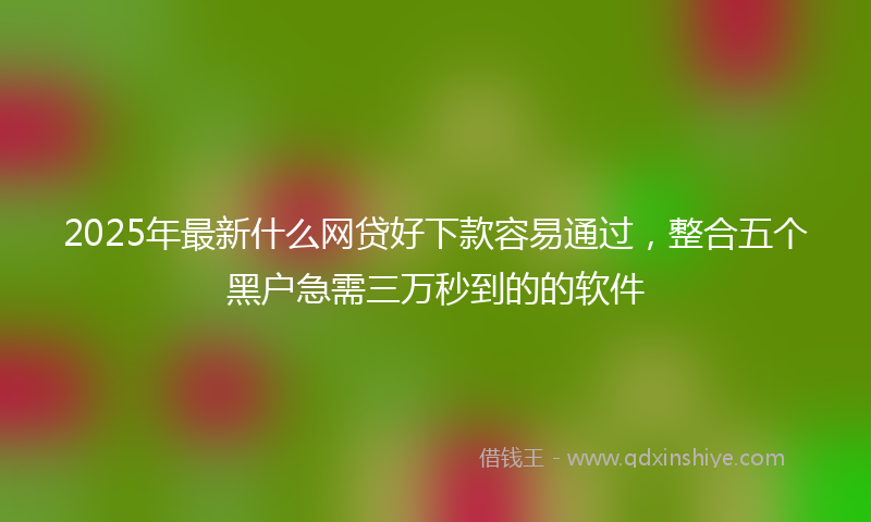 2025年最新什么网贷好下款容易通过，整合五个黑户急需三万秒到的的软件