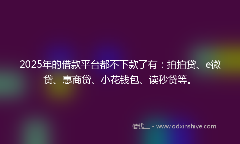2025年的借款平台都不下款了有：拍拍贷、e微贷、惠商贷、小花钱包、读秒贷等。
