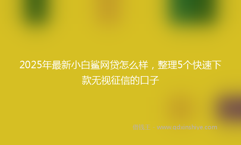 2025年最新小白鲨网贷怎么样，整理5个快速下款无视征信的口子