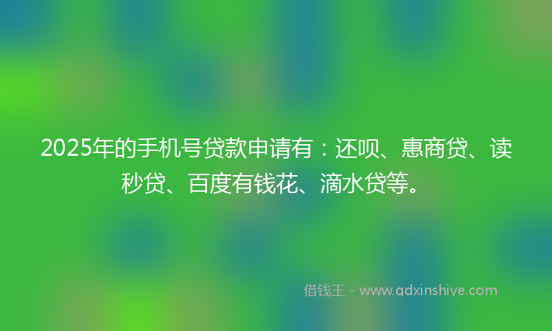 2025年的手机号贷款申请有：还呗、惠商贷、读秒贷、百度有钱花、滴水贷等。