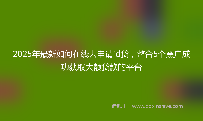 2025年最新如何在线去申请id贷，整合5个黑户成功获取大额贷款的平台