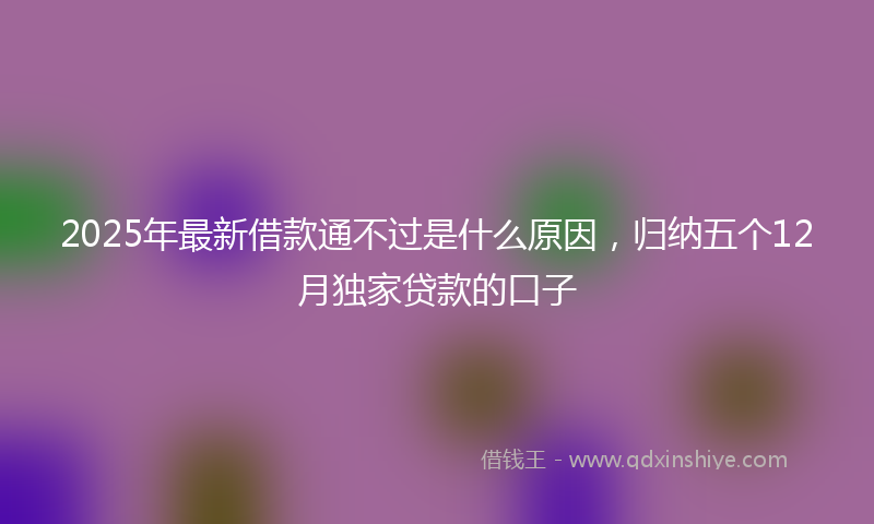2025年最新借款通不过是什么原因，归纳五个12月独家贷款的口子