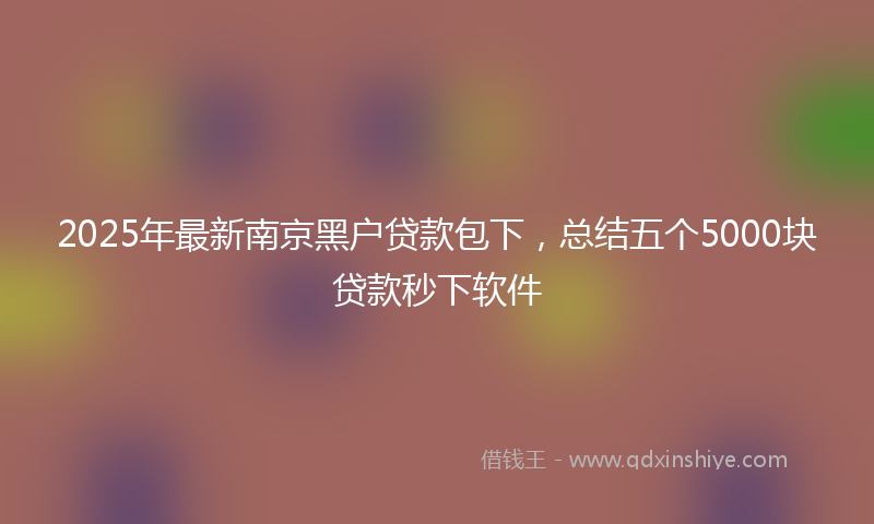 2025年最新南京黑户贷款包下，总结五个5000块贷款秒下软件