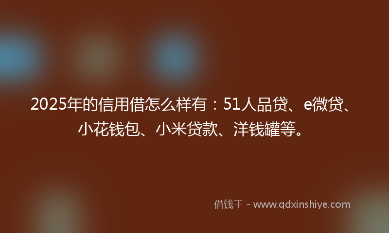 2025年的信用借怎么样有：51人品贷、e微贷、小花钱包、小米贷款、洋钱罐等。