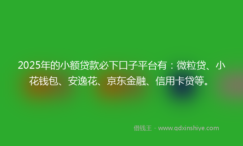 2025年的小额贷款必下口子平台有：微粒贷、小花钱包、安逸花、京东金融、信用卡贷等。