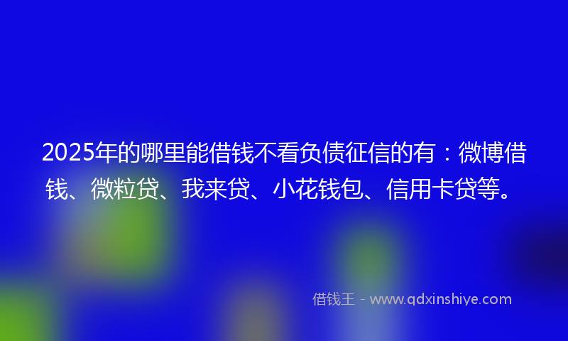 2025年的哪里能借钱不看负债征信的有：微博借钱、微粒贷、我来贷、小花钱包、信用卡贷等。