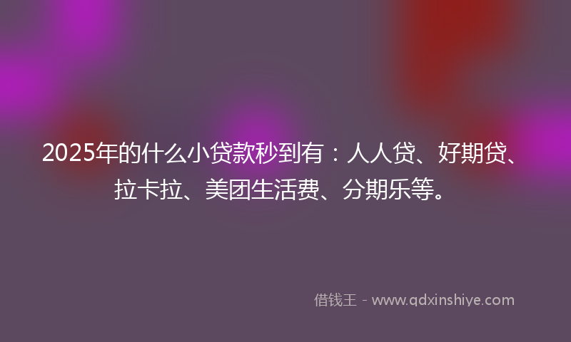 2025年的什么小贷款秒到有：人人贷、好期贷、拉卡拉、美团生活费、分期乐等。