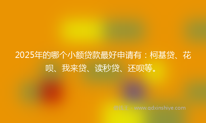 2025年的哪个小额贷款最好申请有：柯基贷、花呗、我来贷、读秒贷、还呗等。