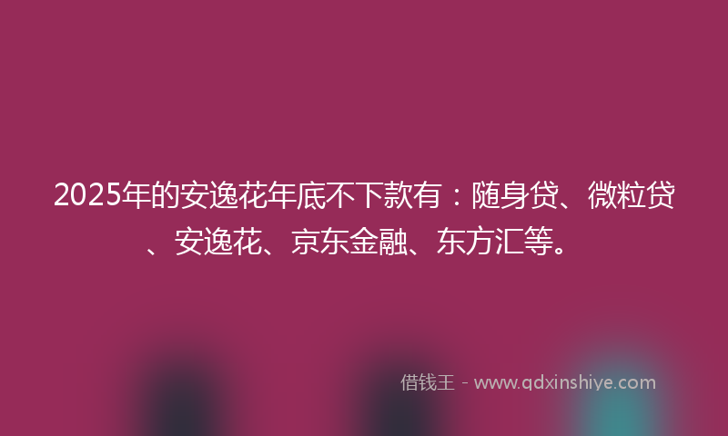 2025年的安逸花年底不下款有：随身贷、微粒贷、安逸花、京东金融、东方汇等。