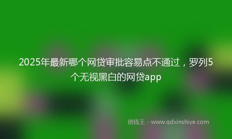 2025年最新哪个网贷审批容易点不通过，罗列5个无视黑白的网贷app