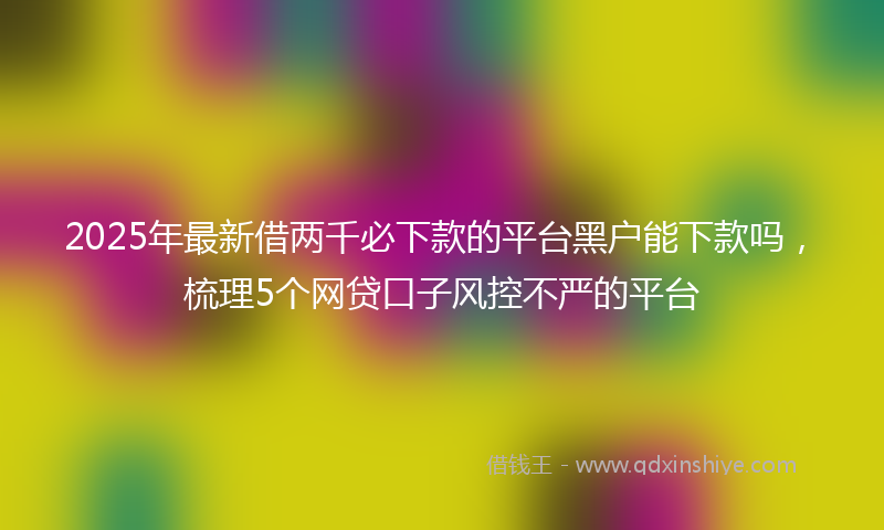 2025年最新借两千必下款的平台黑户能下款吗，梳理5个网贷口子风控不严的平台