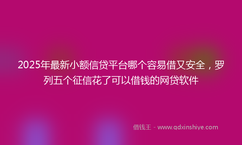 2025年最新小额信贷平台哪个容易借又安全，罗列五个征信花了可以借钱的网贷软件
