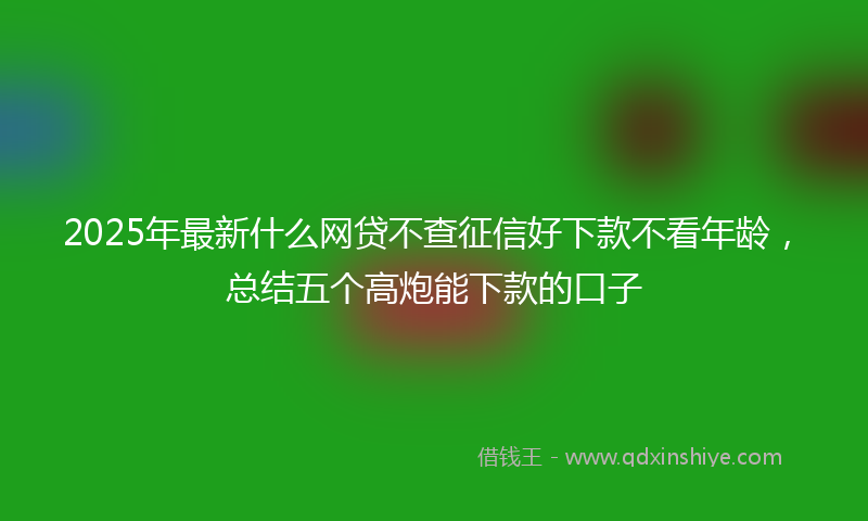 2025年最新什么网贷不查征信好下款不看年龄，总结五个高炮能下款的口子