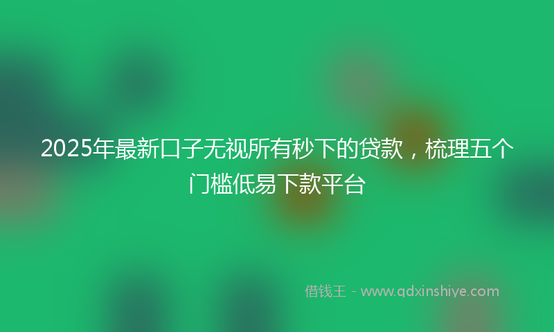 2025年最新口子无视所有秒下的贷款，梳理五个门槛低易下款平台