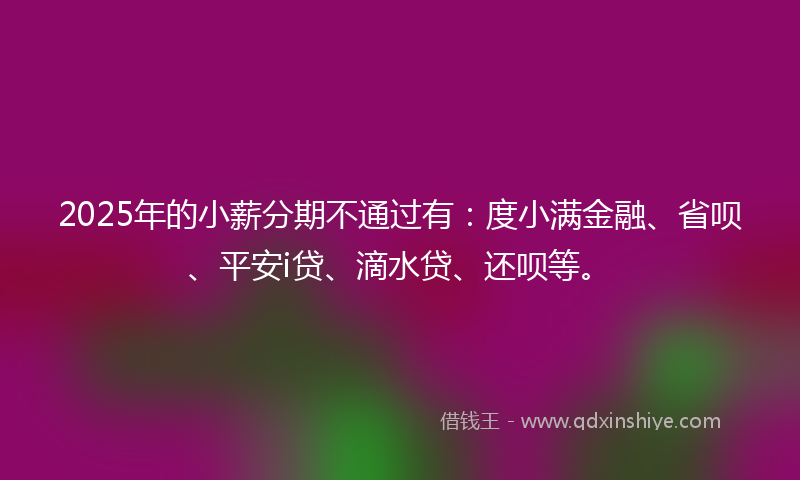 2025年的小薪分期不通过有：度小满金融、省呗、平安i贷、滴水贷、还呗等。