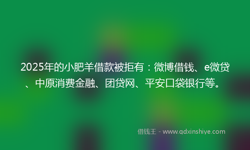 2025年的小肥羊借款被拒有：微博借钱、e微贷、中原消费金融、团贷网、平安口袋银行等。