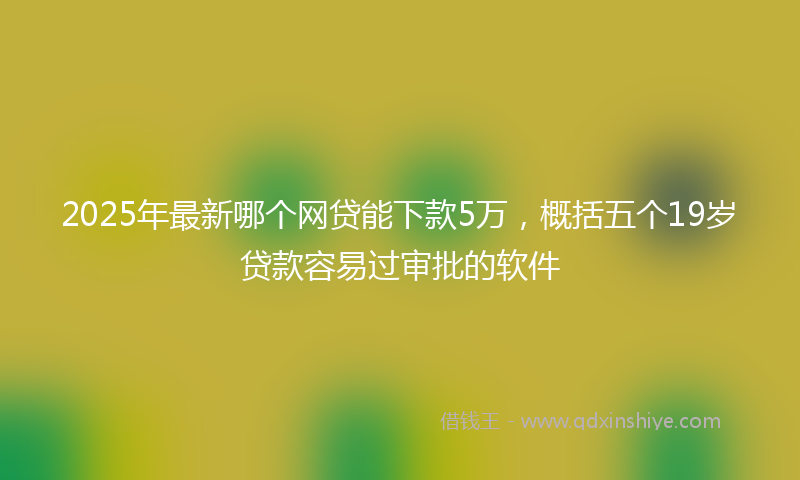 2025年最新哪个网贷能下款5万，概括五个19岁贷款容易过审批的软件
