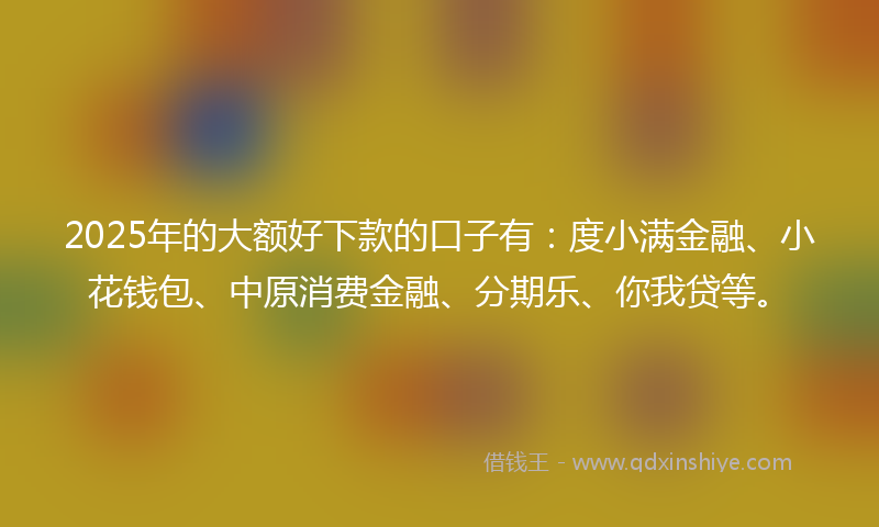 2025年的大额好下款的口子有：度小满金融、小花钱包、中原消费金融、分期乐、你我贷等。