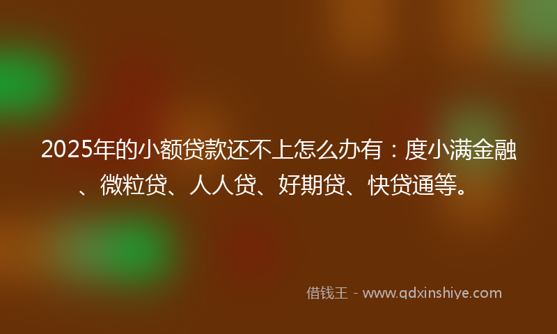 2025年的小额贷款还不上怎么办有：度小满金融、微粒贷、人人贷、好期贷、快贷通等。