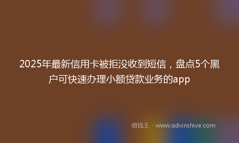 2025年最新信用卡被拒没收到短信，盘点5个黑户可快速办理小额贷款业务的app