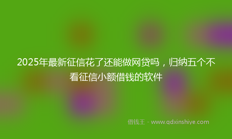 2025年最新征信花了还能做网贷吗，归纳五个不看征信小额借钱的软件