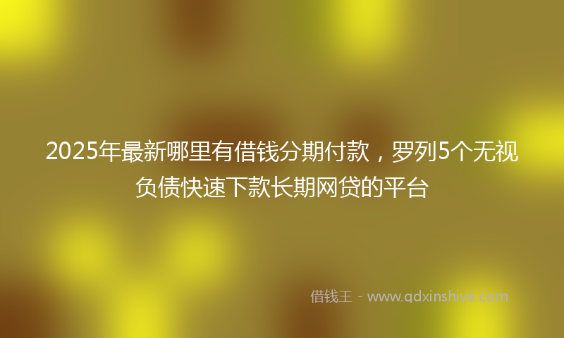 2025年最新哪里有借钱分期付款，罗列5个无视负债快速下款长期网贷的平台