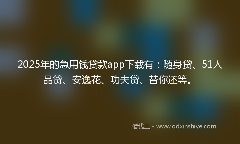 2025年的急用钱贷款app下载有：随身贷、51人品贷、安逸花、功夫贷、替你还等。