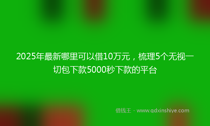 2025年最新哪里可以借10万元，梳理5个无视一切包下款5000秒下款的平台
