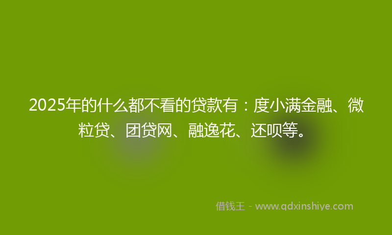 2025年的什么都不看的贷款有：度小满金融、微粒贷、团贷网、融逸花、还呗等。