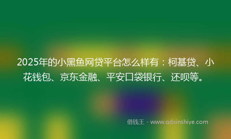2025年的小黑鱼网贷平台怎么样有：柯基贷、小花钱包、京东金融、平安口袋银行、还呗等。
