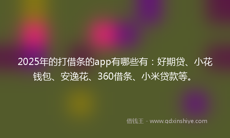 2025年的打借条的app有哪些有：好期贷、小花钱包、安逸花、360借条、小米贷款等。