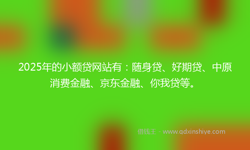 2025年的小额贷网站有：随身贷、好期贷、中原消费金融、京东金融、你我贷等。