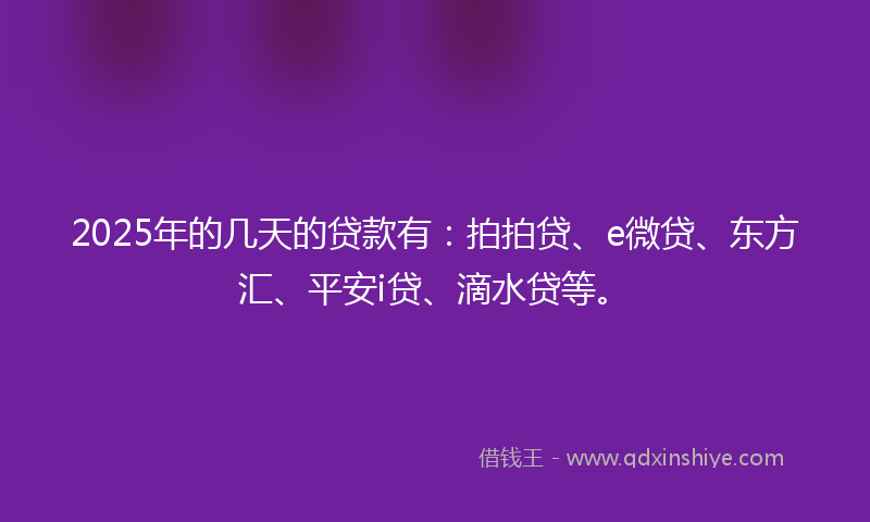 2025年的几天的贷款有：拍拍贷、e微贷、东方汇、平安i贷、滴水贷等。