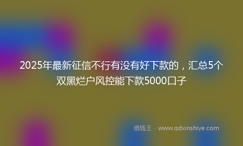 2025年最新征信不行有没有好下款的，汇总5个双黑烂户风控能下款5000口子