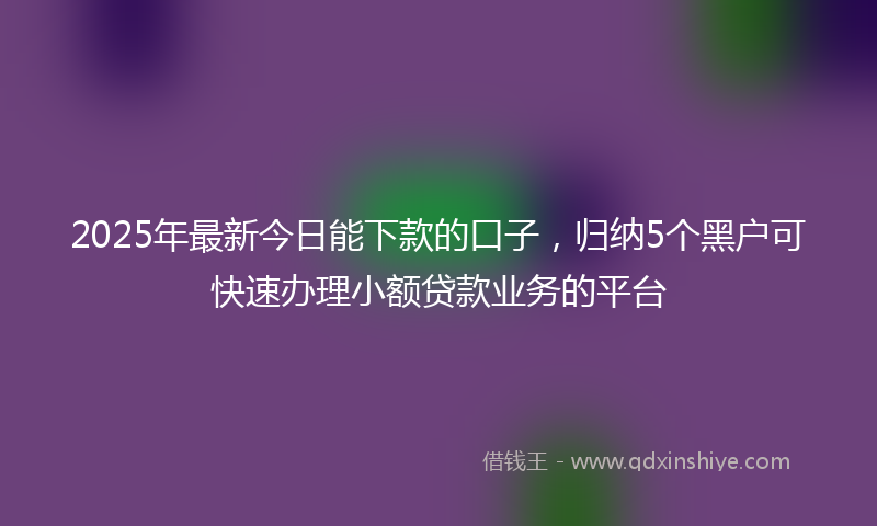 2025年最新今日能下款的口子，归纳5个黑户可快速办理小额贷款业务的平台