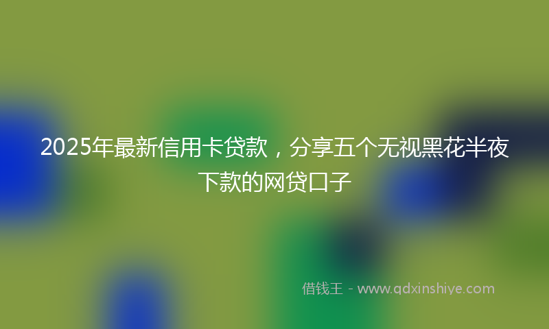 2025年最新信用卡贷款，分享五个无视黑花半夜下款的网贷口子