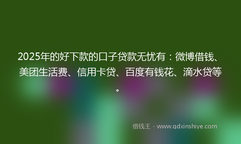 2025年的好下款的口子贷款无忧有：微博借钱、美团生活费、信用卡贷、百度有钱花、滴水贷等。