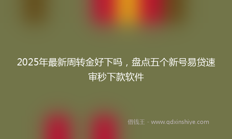 2025年最新周转金好下吗，盘点五个新号易贷速审秒下款软件