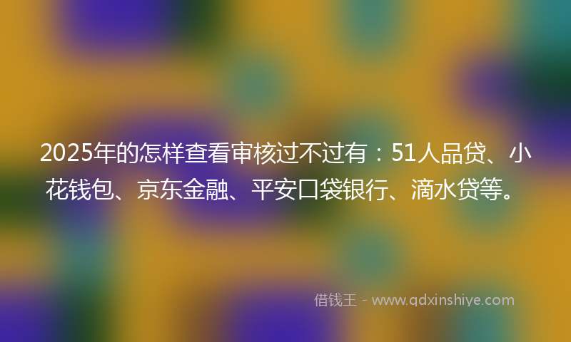2025年的怎样查看审核过不过有：51人品贷、小花钱包、京东金融、平安口袋银行、滴水贷等。