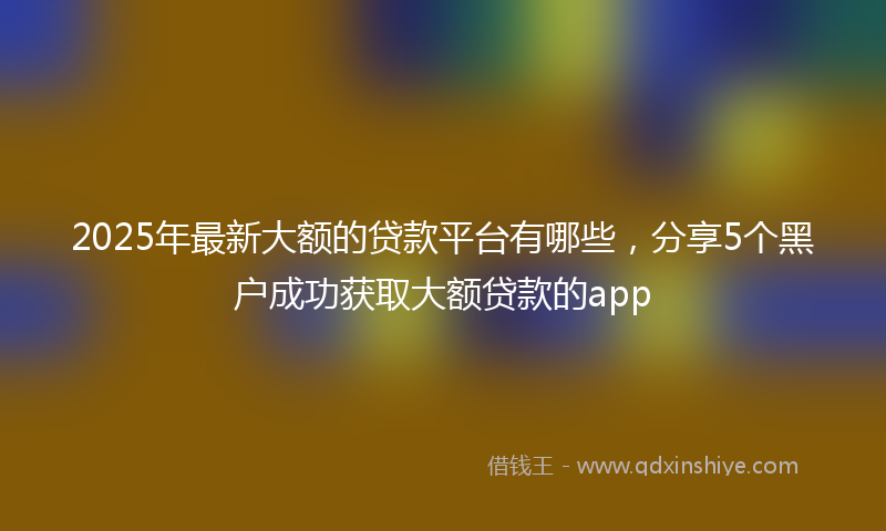 2025年最新大额的贷款平台有哪些，分享5个黑户成功获取大额贷款的app