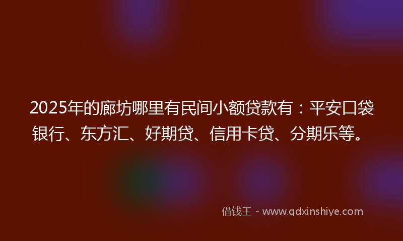 2025年的廊坊哪里有民间小额贷款有：平安口袋银行、东方汇、好期贷、信用卡贷、分期乐等。