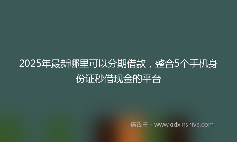 2025年最新哪里可以分期借款，整合5个手机身份证秒借现金的平台