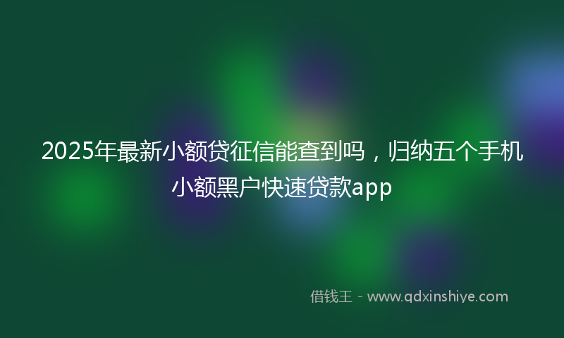 2025年最新小额贷征信能查到吗，归纳五个手机小额黑户快速贷款app