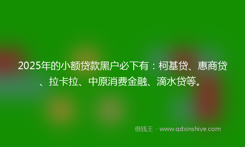 2025年的小额贷款黑户必下有：柯基贷、惠商贷、拉卡拉、中原消费金融、滴水贷等。