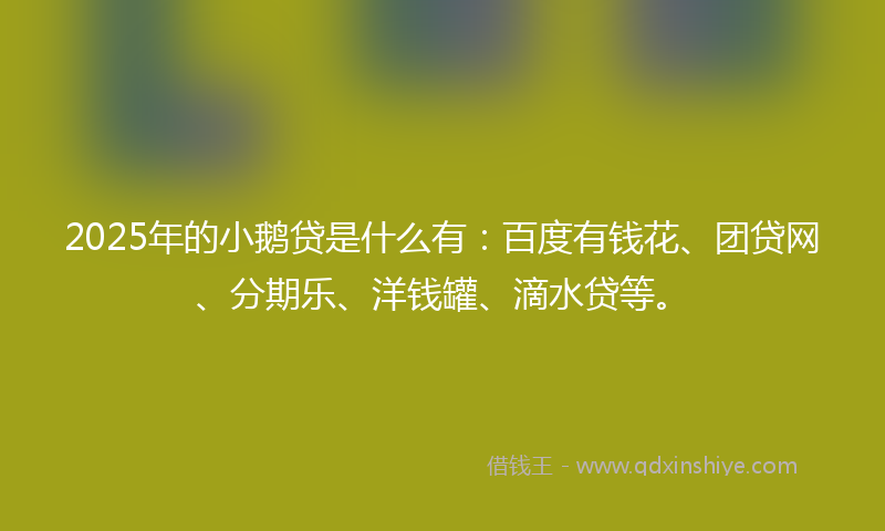 2025年的小鹅贷是什么有：百度有钱花、团贷网、分期乐、洋钱罐、滴水贷等。