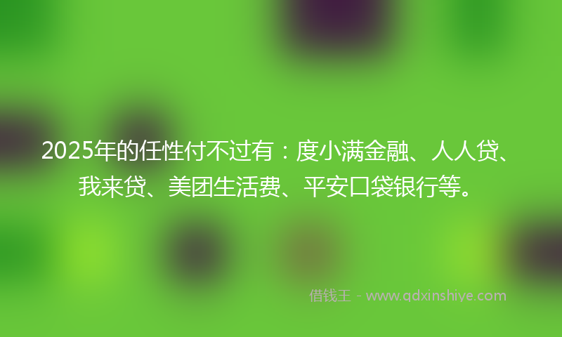 2025年的任性付不过有：度小满金融、人人贷、我来贷、美团生活费、平安口袋银行等。