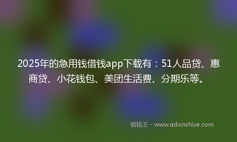 2025年的急用钱借钱app下载有：51人品贷、惠商贷、小花钱包、美团生活费、分期乐等。