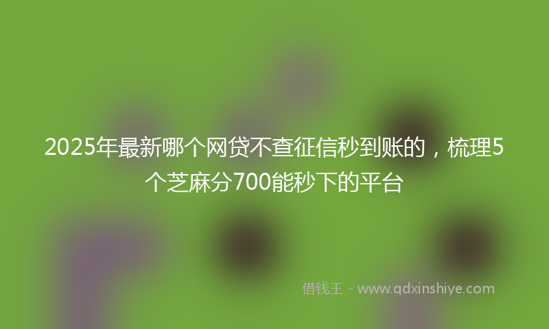 2025年最新哪个网贷不查征信秒到账的，梳理5个芝麻分700能秒下的平台