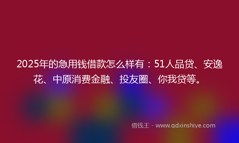 2025年的急用钱借款怎么样有：51人品贷、安逸花、中原消费金融、投友圈、你我贷等。